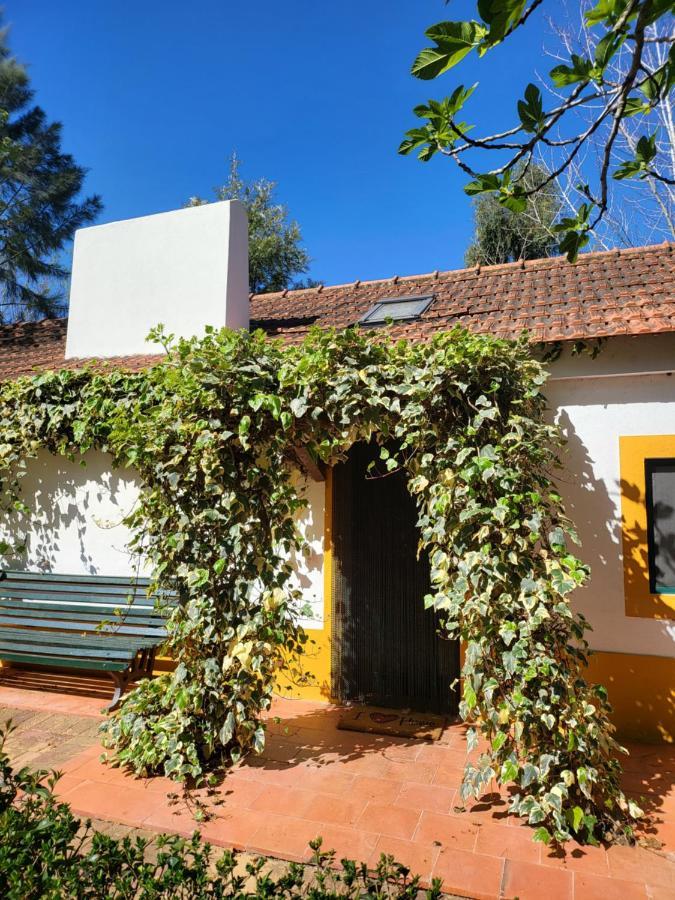 Hotel Quinta Da Mimosa à Fajarda Extérieur photo