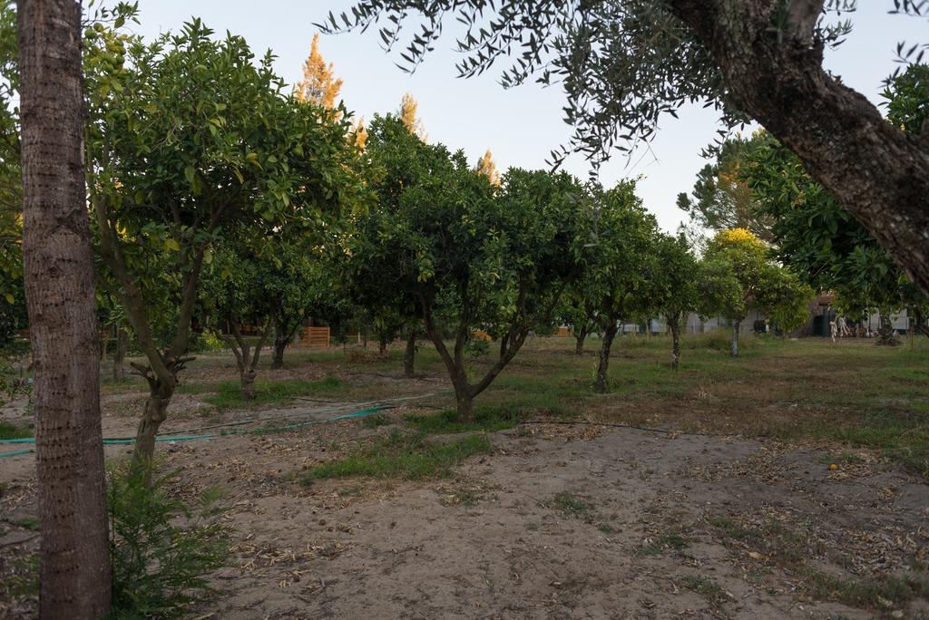 Hotel Quinta Da Mimosa à Fajarda Extérieur photo